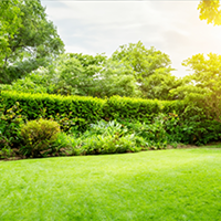 Landscape Garden